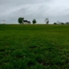 photo of grass field